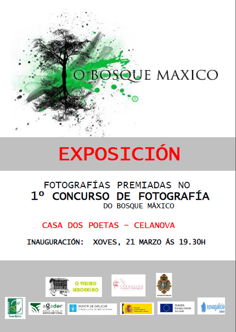 Exposición Bosque Máxico 2013